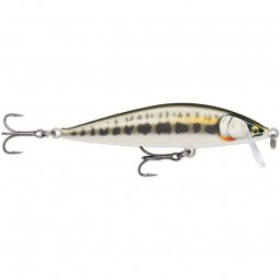 Poisson Nageur Rapala Countdown Elite 95 Gilded Minnow GDMN